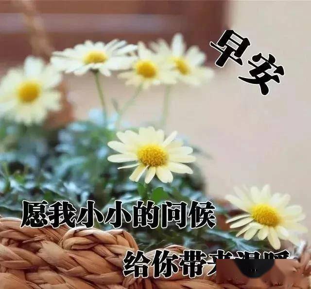 心若向阳,何惧风雨;志在远方,何惧坎坷!早安