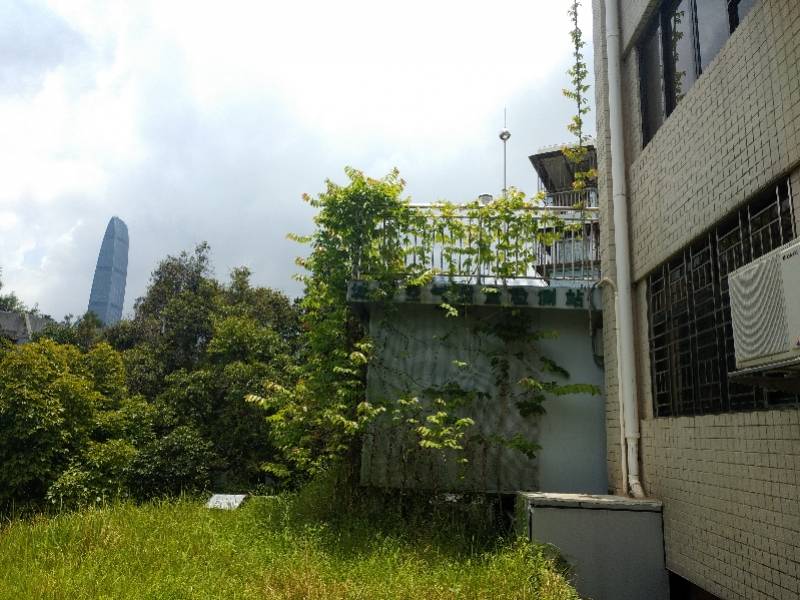 全国gdp含含港澳台_gdp全国排名(3)