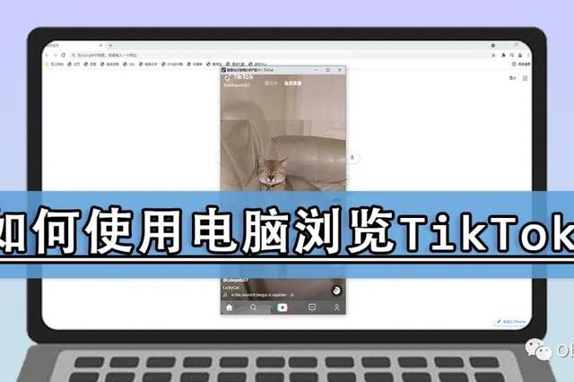 cca29e83f1d74c55987ecf820acb981a.jpeg