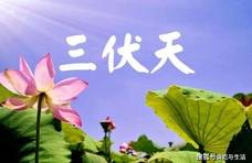 三伏天不宜多吃的5种蔬菜，我也是刚知道，看完别再乱买了