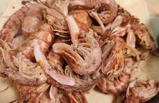 皮皮虾，又叫爬虾、口虾蛄或虾虎，现在挺流行的可以算一种网红海鲜了