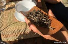 茶虫侃茶——天干物燥一杯“白茶”美哉