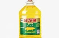 家庭油炸用什么油好？