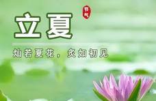 立夏，遇到这菜抓紧吃，全身是宝！营养下火，可惜很多人当杂草