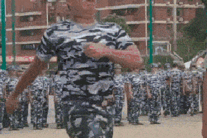 搞笑gif趣图:大哥,军姿不错哟,可惜你的表情掉了很多分了!