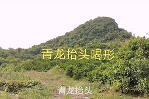 风水宝地:青龙抬头形,好地