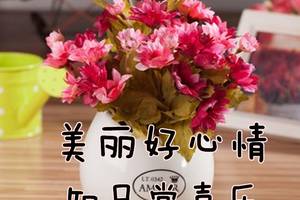 5月1日问候大家早上好表情美女2020 清晨祝福早上好问候语温馨