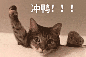 喵星人表情包再次来袭!