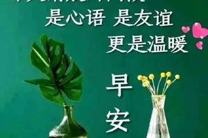 8张最新漂亮早安问候图片带字精选 最美早上好问候祝福语图片带字