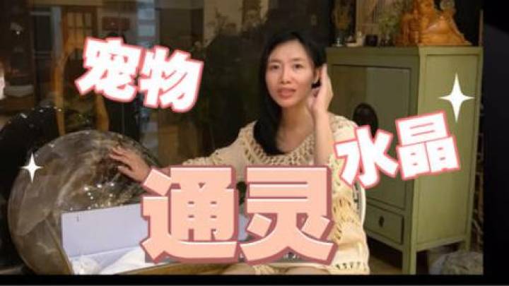 宠物心理咨询师半小时收费80元,是智商税吗?