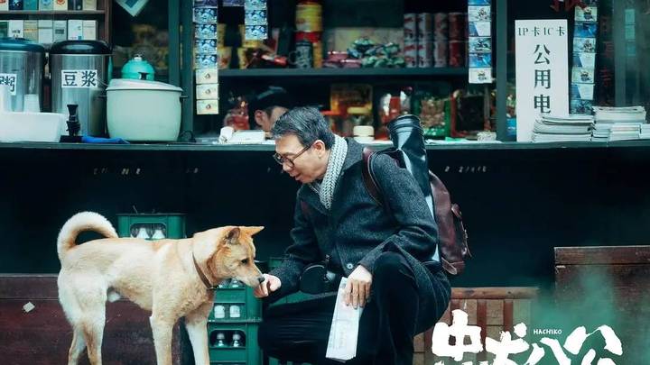 你看过《忠犬八公》吗?