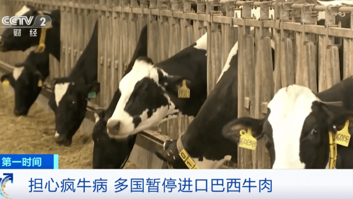 多国宣布暂停进口巴西产牛肉,会导致疫情扩散吗?