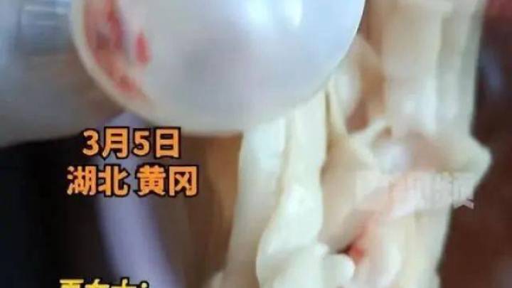 女子宰杀活鱼从腹中掏出一把面条,白色细条状,你见过这种情况吗?