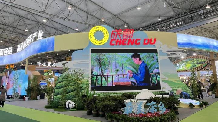 四川茶博会成都展区,你打卡了吗?