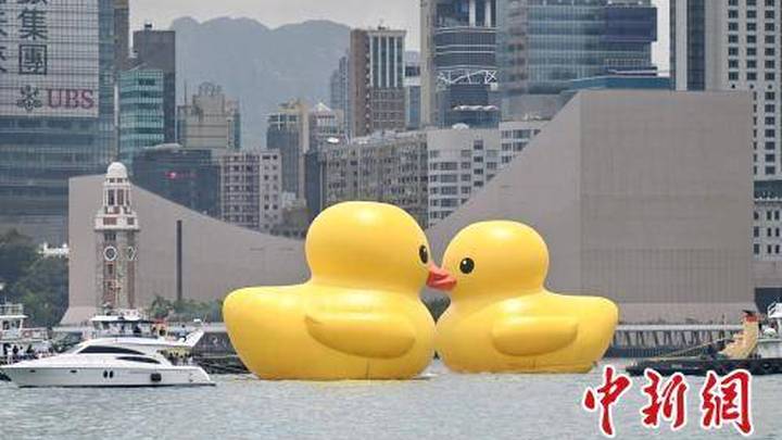 小黄鸭时隔10年携伴重返香港,能给你带来双倍快乐吗?