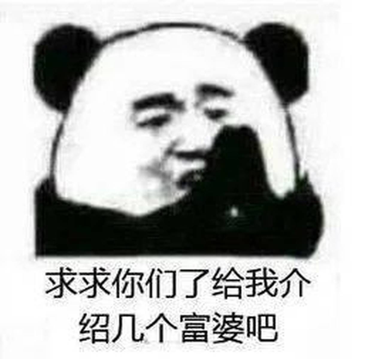 [全国富婆通讯录] 我不想努力了！