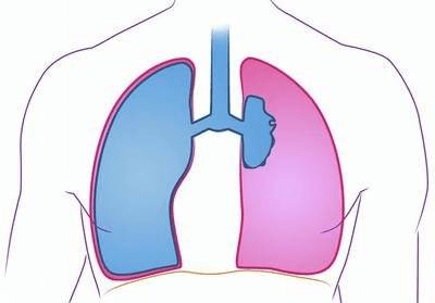 肺气肿的症状5个异样提示肺气肿发生