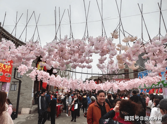 晋中太谷:又现"山寨版樱花节"