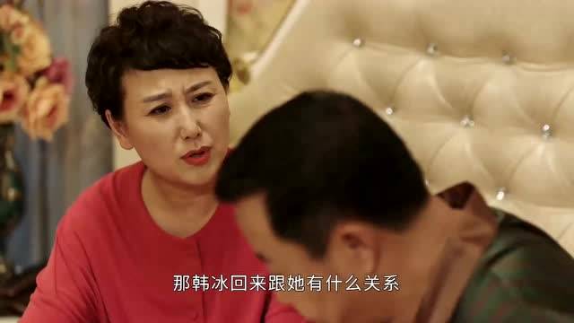原创刘老根桃花运来了大辣椒韩冰落花有意他能否迎来第二春