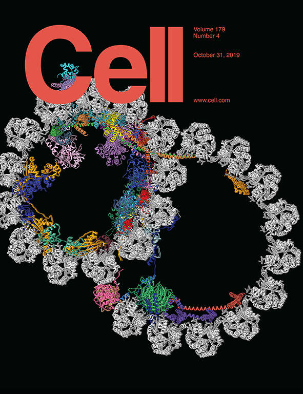 科学与艺术的结合!《cell》100 张期刊封面鉴赏|2019年篇