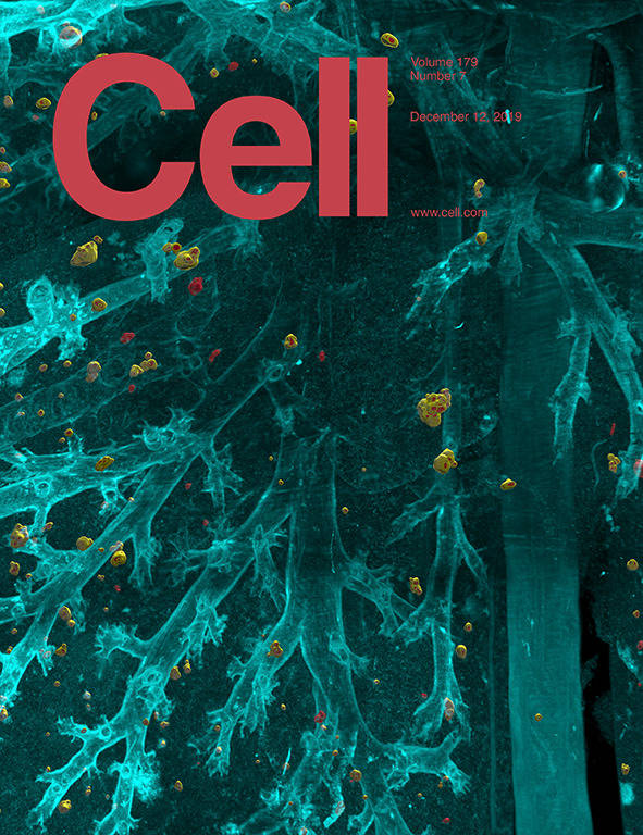 科学与艺术的结合cell100张期刊封面鉴赏2019年篇