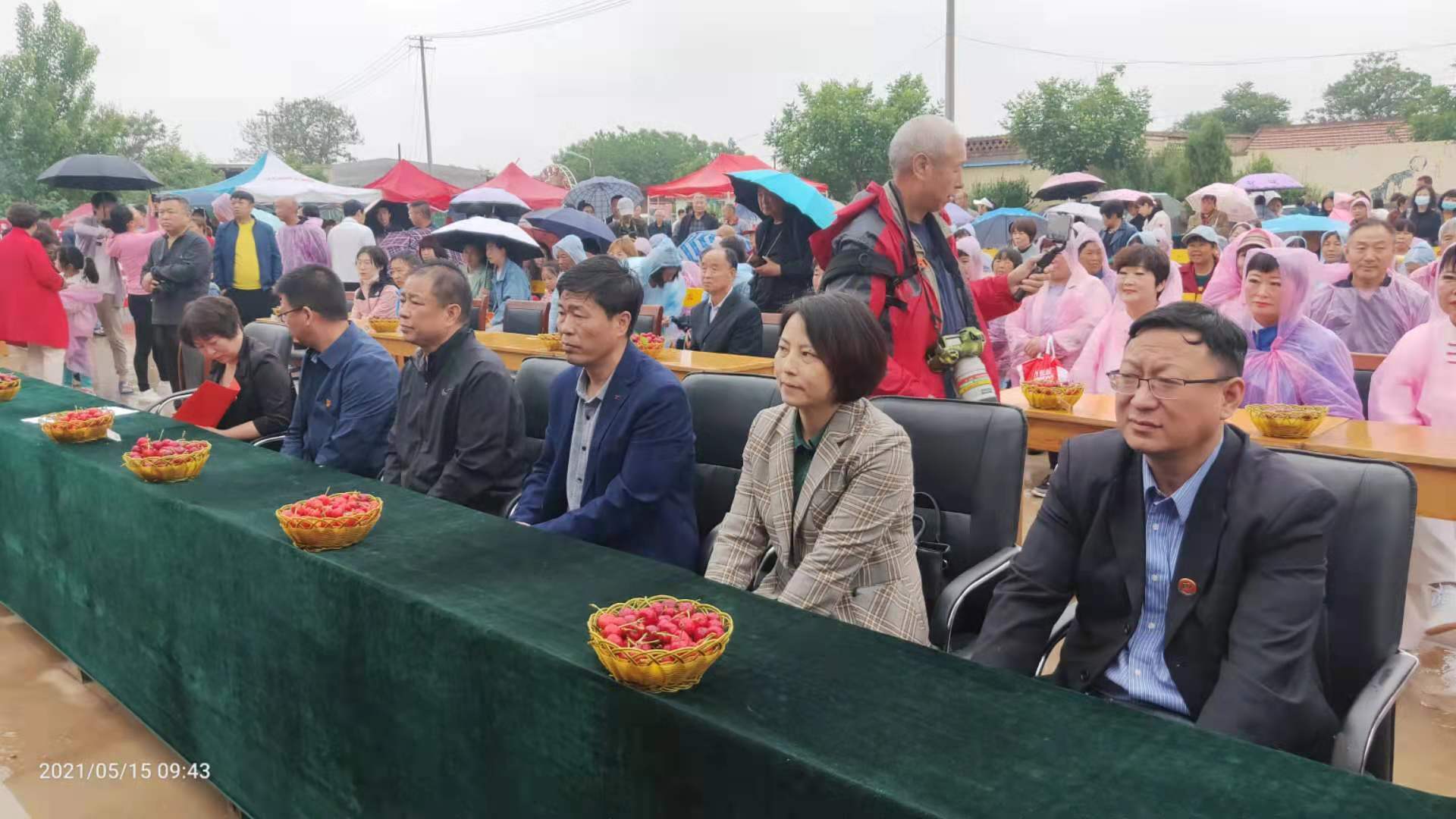 陕州区张湾乡蔡白村第三届樱桃节暨少儿大赛活动隆重举办