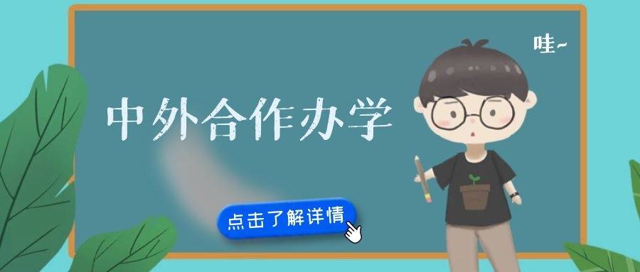 21年新的本科硕士博士中外合作办学项目