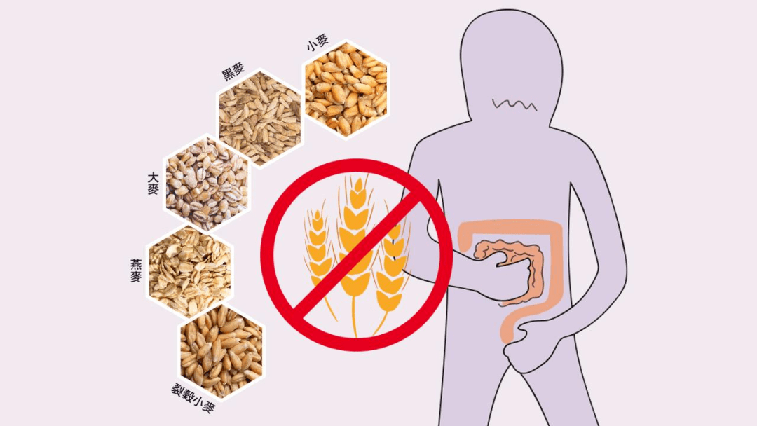 zmed现代医学精准治疗基因荷尔蒙检测知道麸质对健康影响