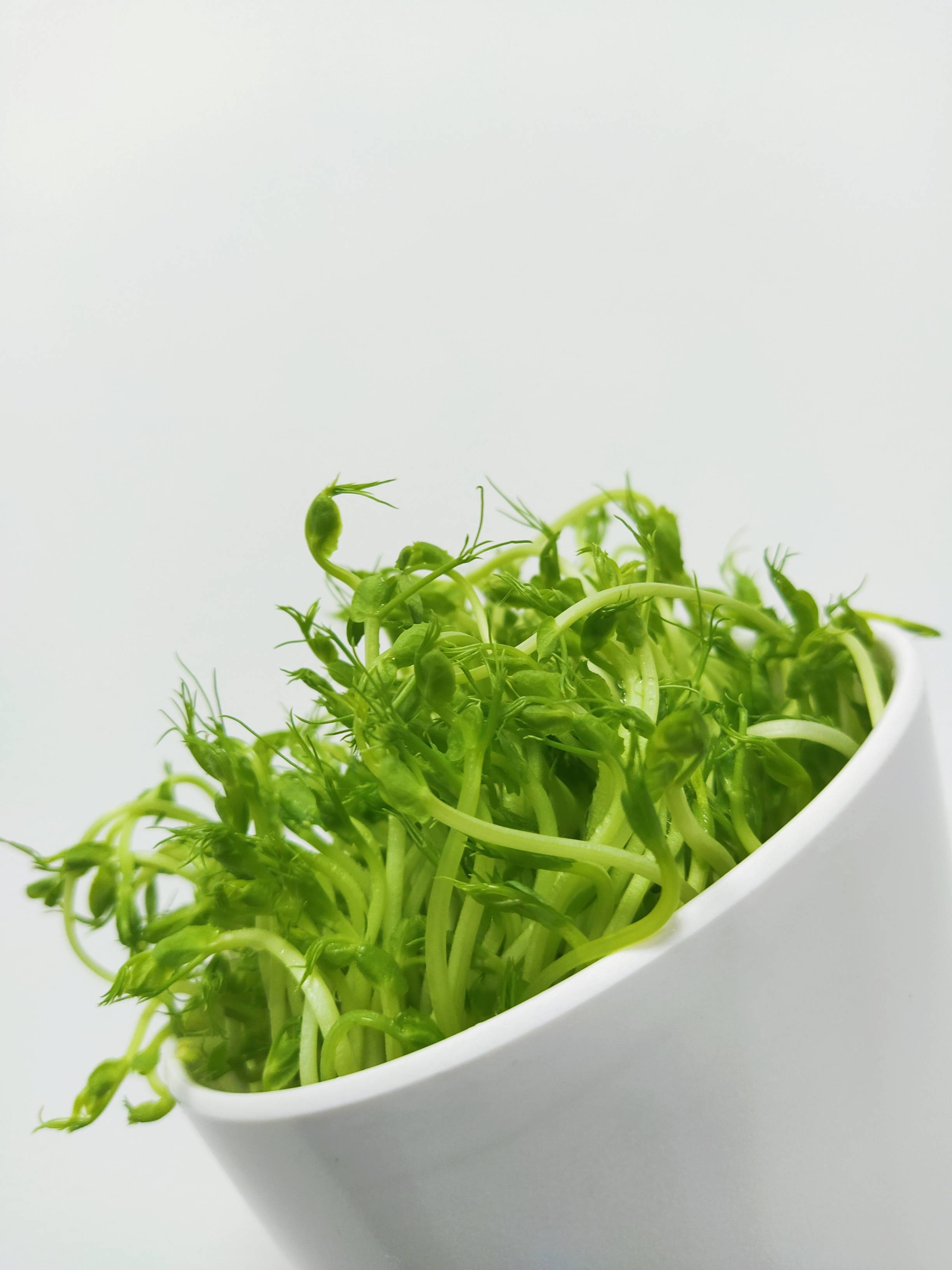 安鲜舍认为蘑菇和豌豆芽苗菜是绝配,简单烹饪营养高,清脆入味.