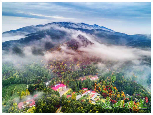 庐山景区:中科院庐山植物园完善科普解说系统服务庐山