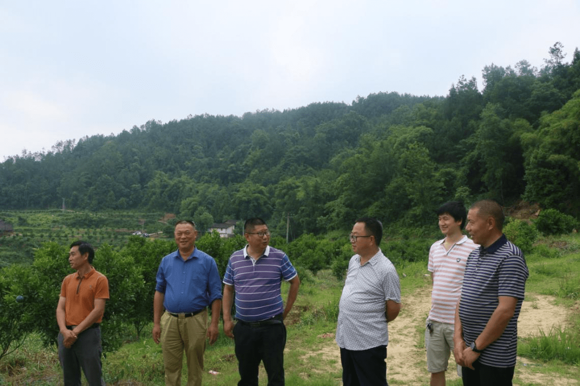 当家人绘图 领头羊绣花 巴州区梁永镇斑竹村"振兴乡村