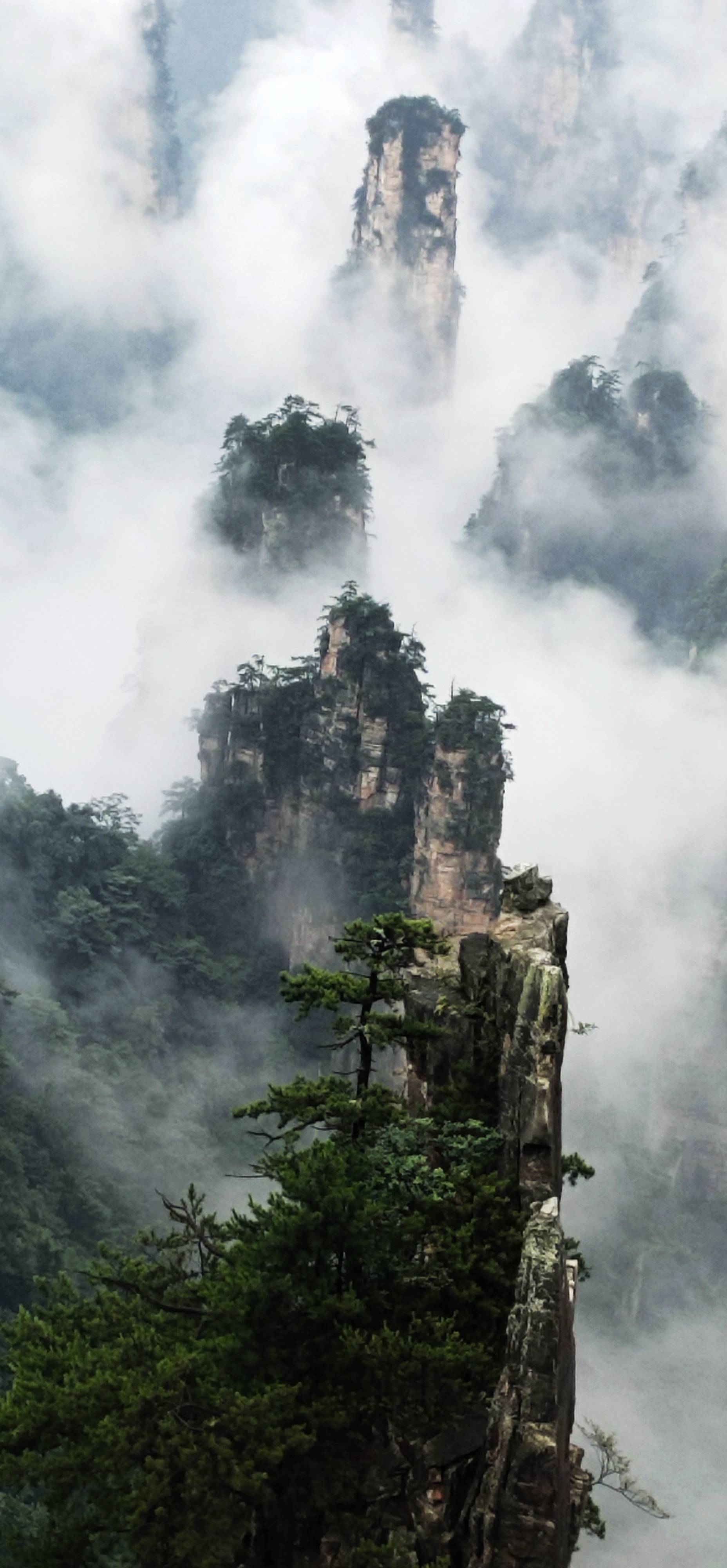 张家界武陵源立秋后首场云海美若仙境(组图)