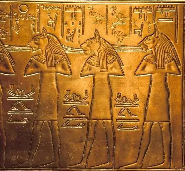 太神秘古埃及壁画里猫的原型有点上头