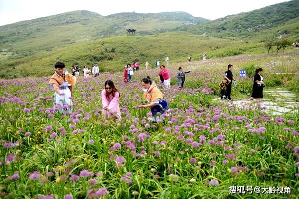 人流如织的韭菜坪景区