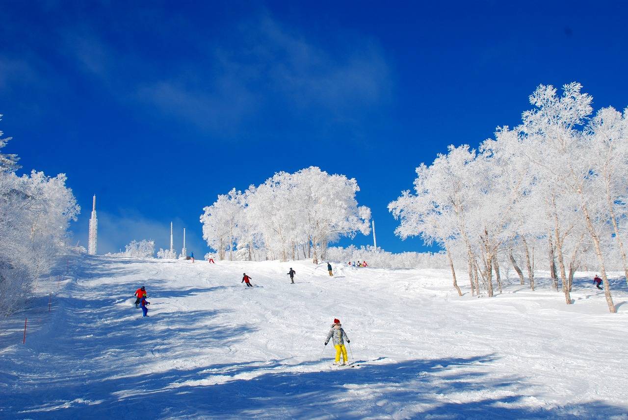 雪场美景同时,手稻滑雪场是1972年札幌冬奥会的赛场,奥运赛道与未经压