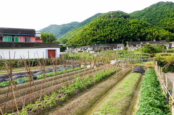 周末乡村游之宁波东钱湖畔城杨村