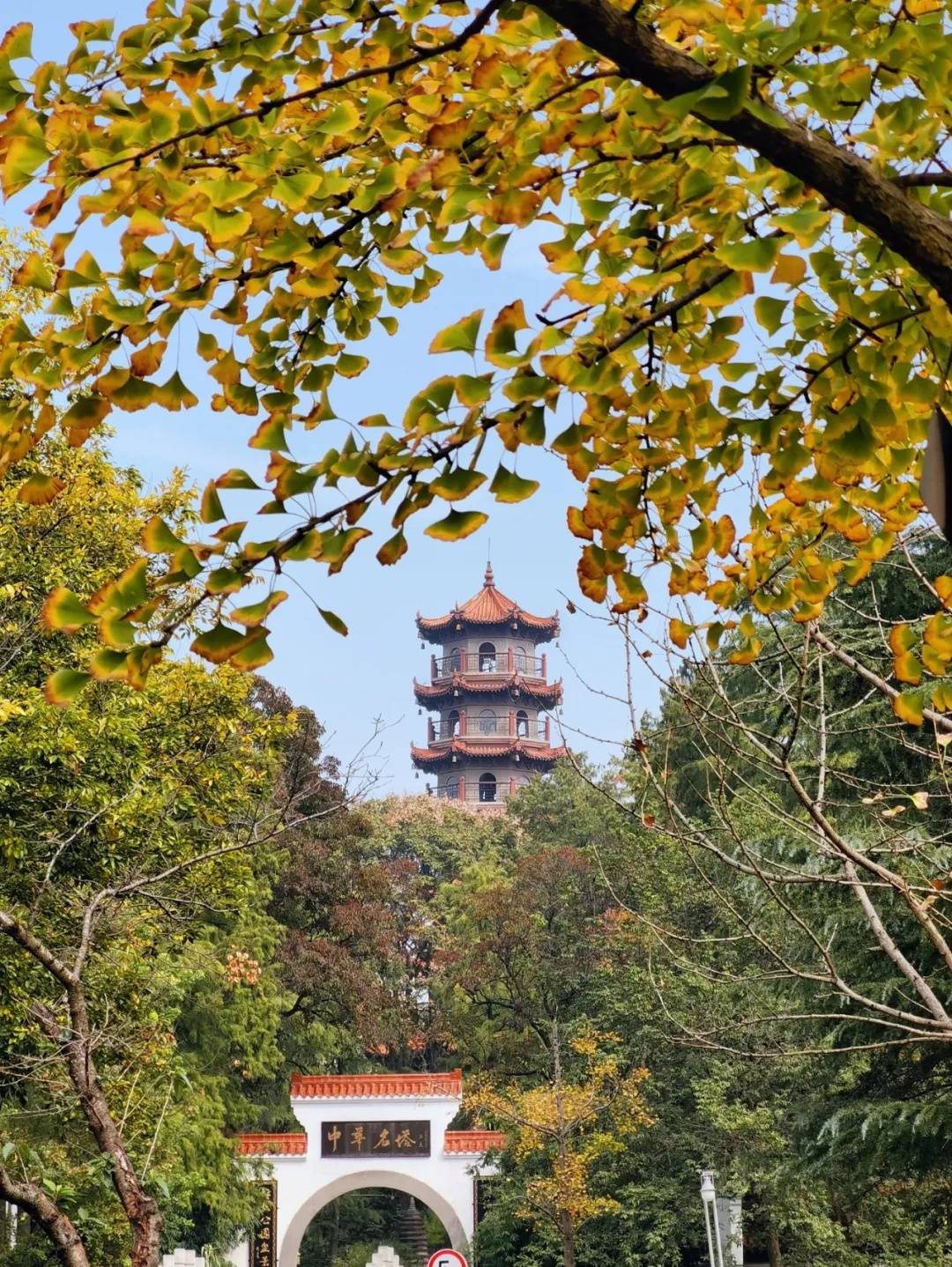 武汉秋天旅游要做的10件小事附武汉行李寄存