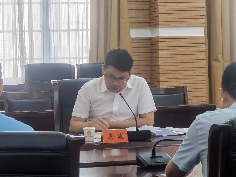 桃源县召开"戴帽工程"专项整治行动视频部署会议