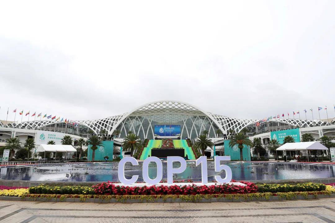 昆明滇池国际会展中心外景"昆明宣言"将留在世界历史中,和cop15的