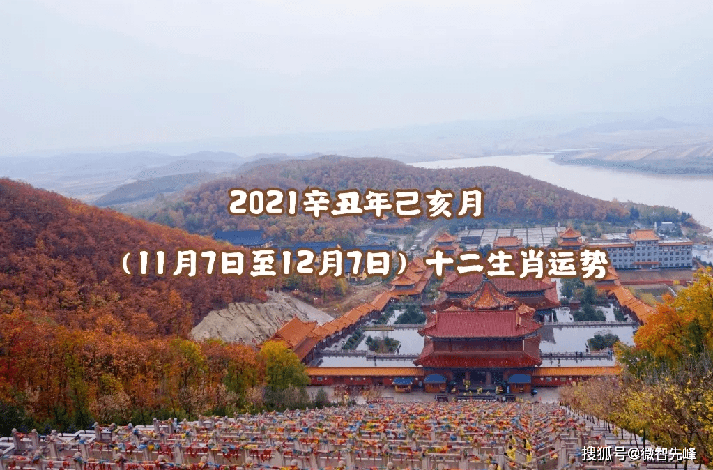 生肖运势2021辛丑年己亥月11月7日至12月7日十二生肖运势