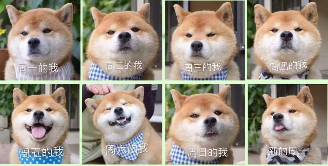 周一的我vs周五的我,哈哈哈太生动了