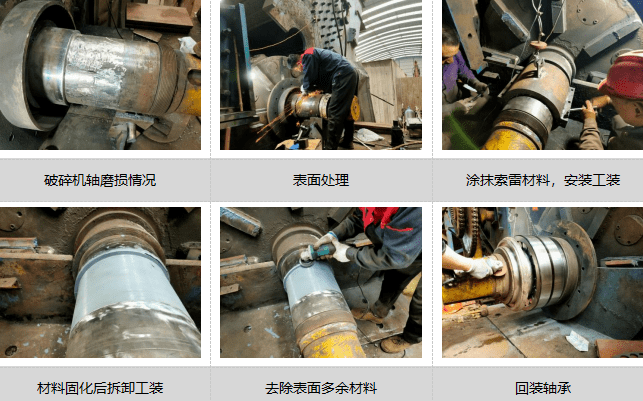 细颚龙是节肢动物吗_颚破机_细颚破碎机