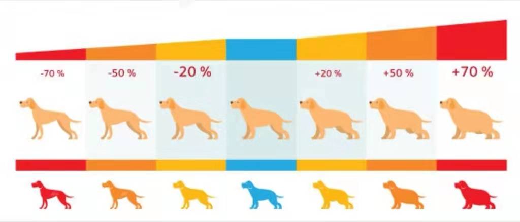 体重超过正常值(具体可参照犬类体重对照表)的15~20%就是肥胖症,多发