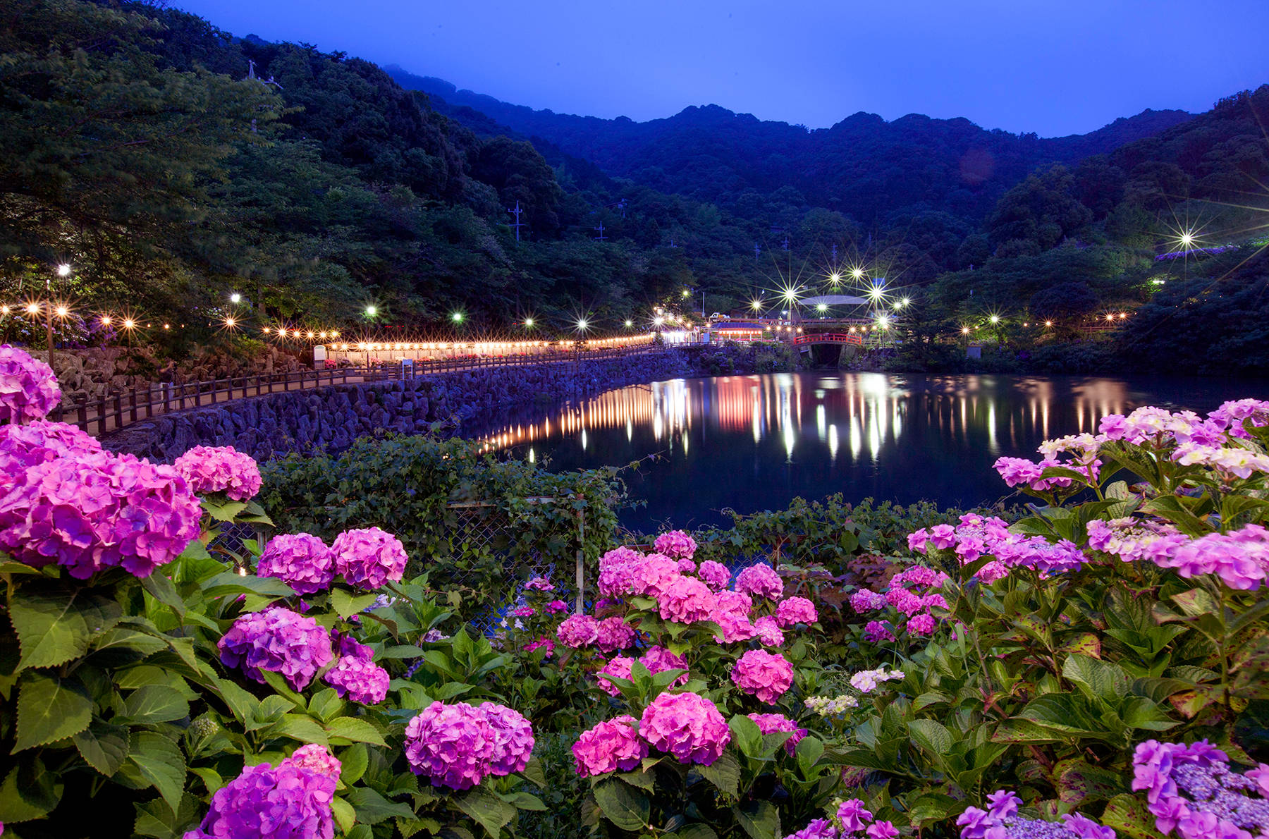 摄影师梁长福日本四季之夏日草绿天青