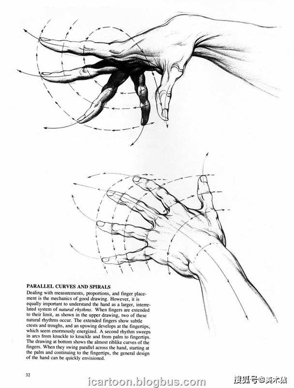 《动态素描·手部结构》_人体_伯恩·霍加斯_插图