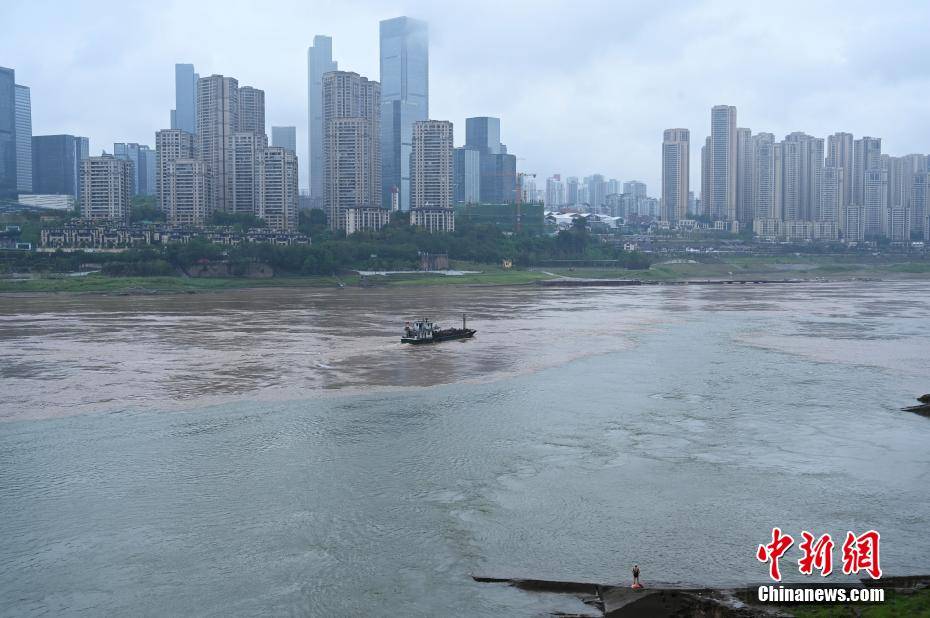 长江嘉陵江涨水重庆两江交汇现鸳鸯锅景观