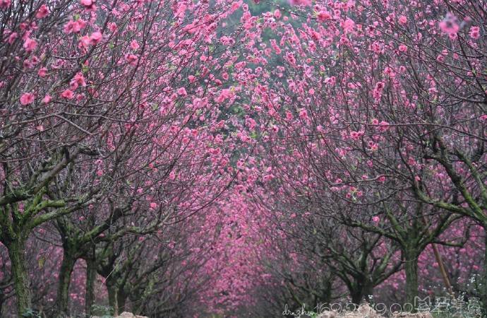 ԭ������쭡����������ĵģ���������С���Ǳ��͹������� ...