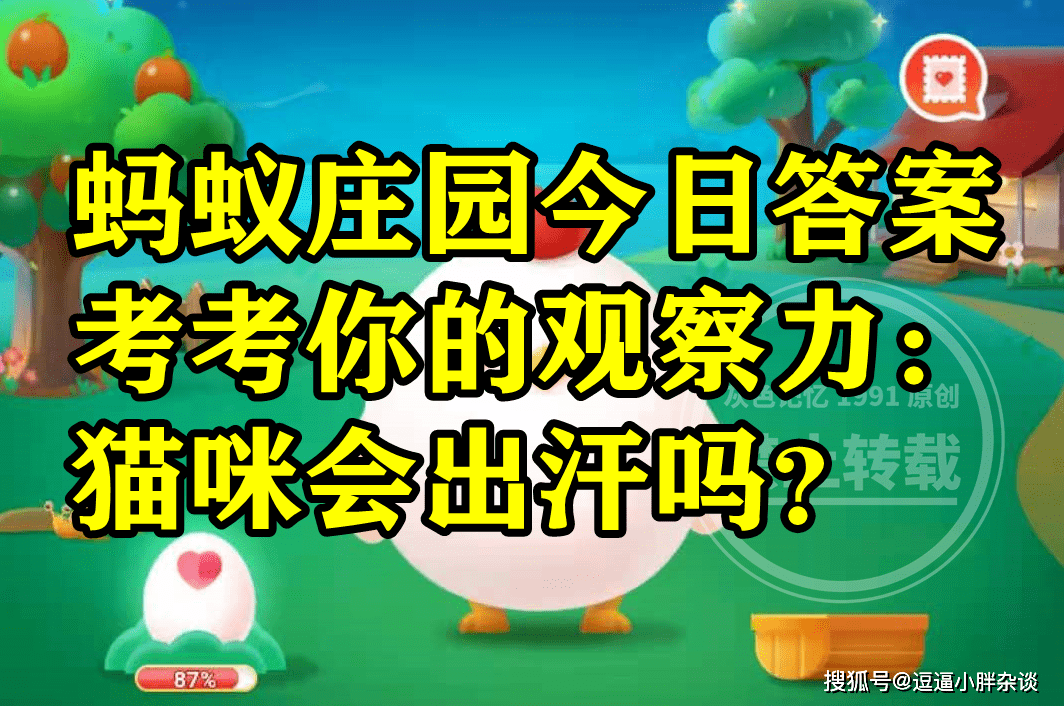 考考你的察看力猫咪会不会出汗呢？蚂蚁庄园谜底