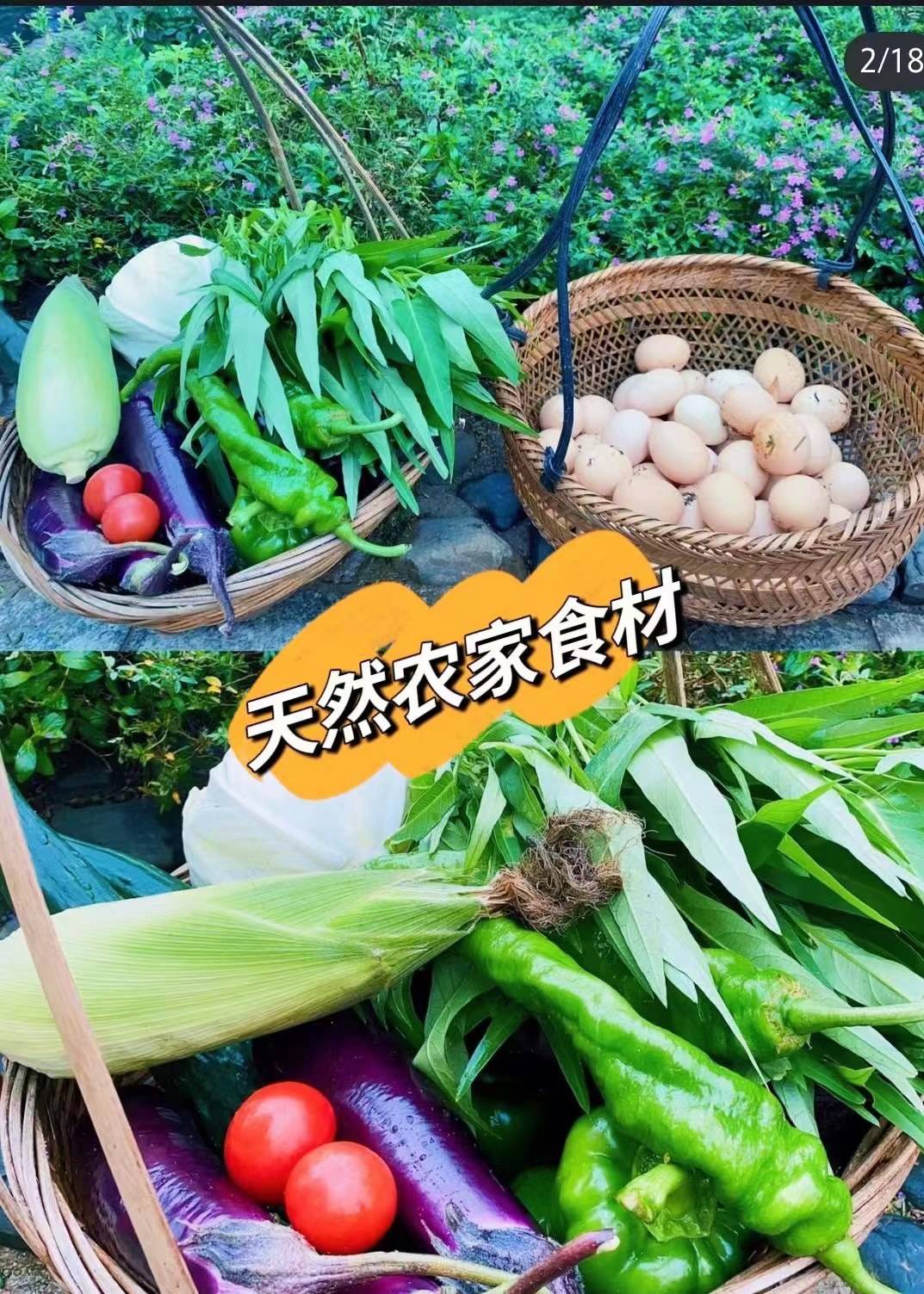 开云体育 开云官网深圳户外旅游农家乐周末游玩好去处(图3)