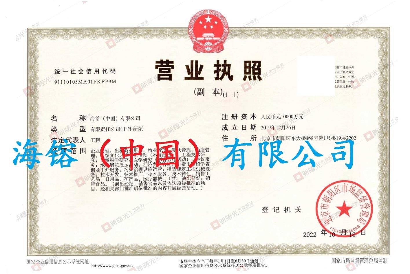 怎么注册带中国的公司名字 怎么注册带中国的公司名字